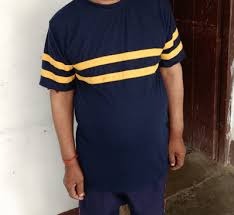 Mens Blue Color Striped T Shirt Size M