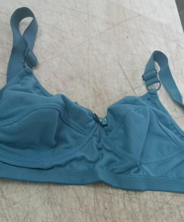 Women Blue Color Bra Size 32