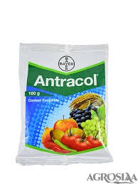 Bayer Antracol Contact Fungicide 100 Gm