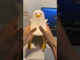 Private Label Benson Duck lamp