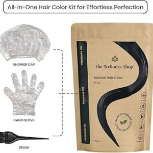 The wellness shop organic hair colour black 100 gms