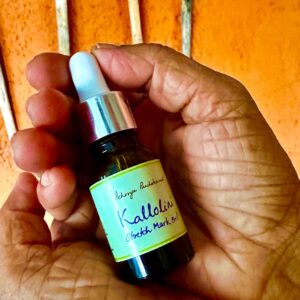 Acharya Panchakarma Kallolini Stretch Mark Oil 15 ml