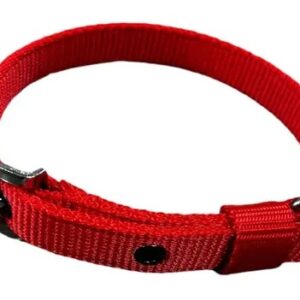 Private Lable dog leash and leash neck belt
