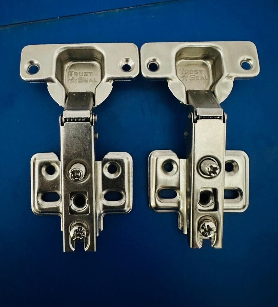 Private Label Stainless Steel Auto Hinges