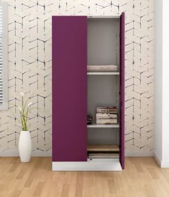 Godrej Interior Slimline 2 Door Steel Almirah