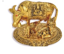 Private Label Gomata Decorative Showpiece Golden Colour