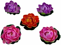Private Label Multicolor Lotus Artificial Flower 5 Pcs