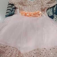Private Label asmine Baby Girl Frock With Bow Embroidery and Net 2Y