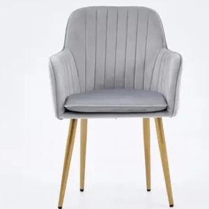 Nirmala Furniture Living Room Modern wing chair Metal Living Room Chair
