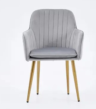 Nirmala Furniture Living Room Modern wing chair Metal Living Room Chair