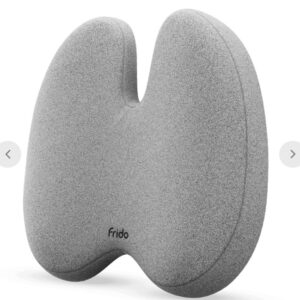 Frido Ultimate Pro Posture Corrector