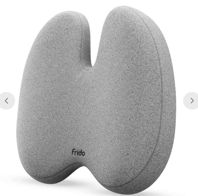 Frido Ultimate Pro Posture Corrector
