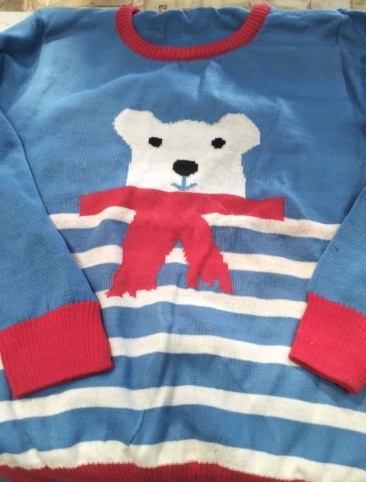 Kids Blue And White Printed Pullover