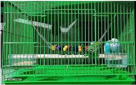 Private Label 18 Inchi Bird Cage Multicolour Need Assembling