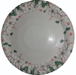 Private Label  12 Inch Disposable Paper Plate Green Colour Pack Of 30