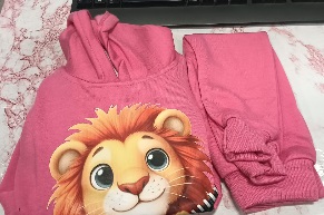 Private Label Lion Printed Pink Colour Hoodie And Pant Set 24 Size