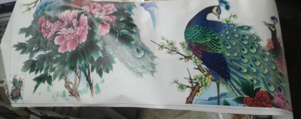 Wall Sticker Nature Peacock And Royal Peacock Wall Sticker