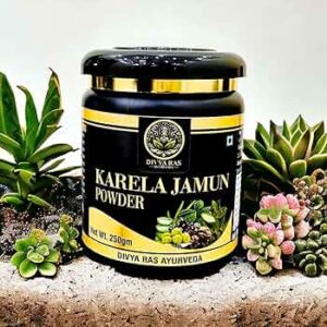 Divya Ras Karela Jamun Powder 250G
