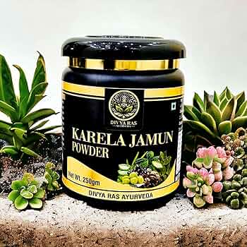 Divya Ras Karela Jamun Powder 250G