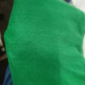 Women Green Colour Dupatta
