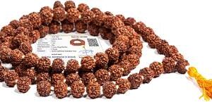 108 Moti Rudraksha Mala