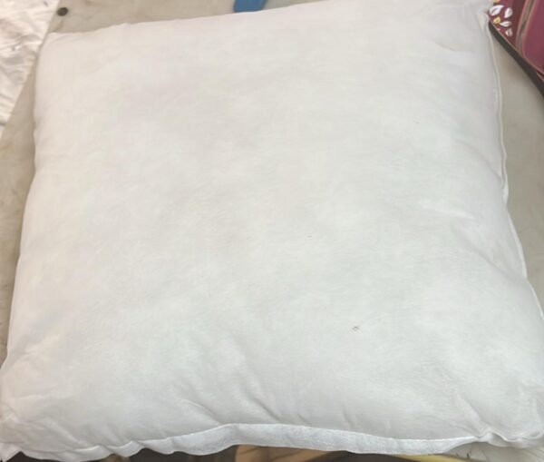 White Color Sofa Pillow 2 Pcs