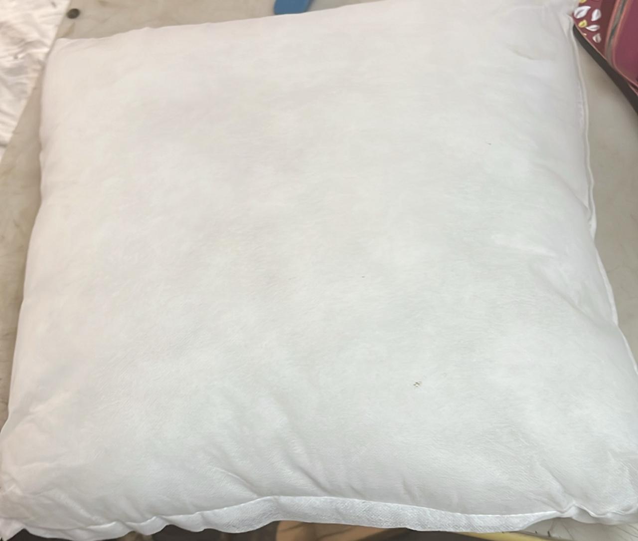 White Color Sofa Pillow 2 Pcs