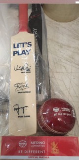 Wooden Bat And Red Ball For Kids