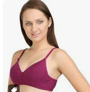 Womens Padded Bra Wine Size 40 D Pack Of 2