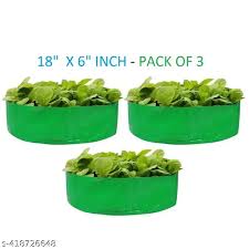 Green Color Plant Bag Pack Of 3 Size 18X6 Inch