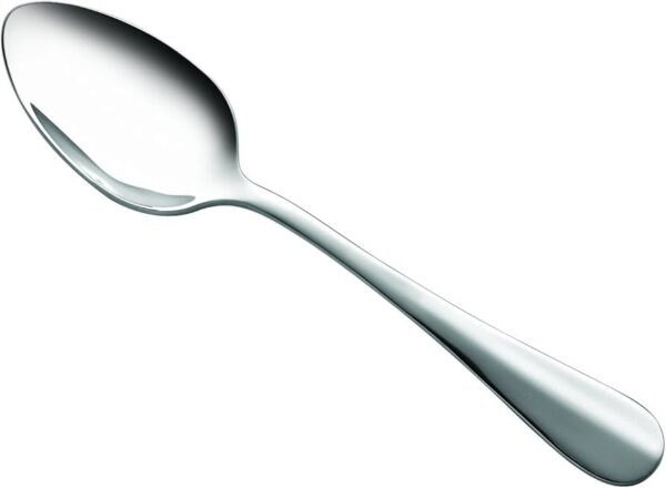 Stainless Steel Spoon 5 Pcs Set