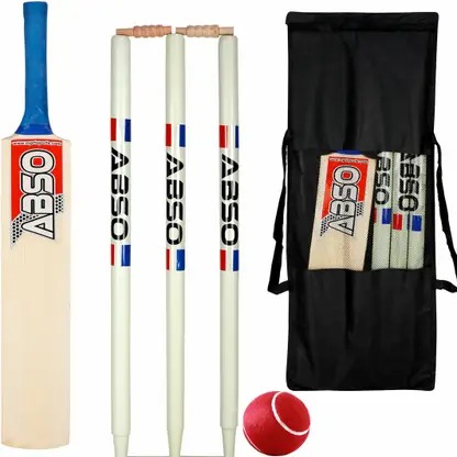 abso Junior Wooden Cricket kit for kids Age Group 6 7 Years old Bat Size 2 Cricket Kit
