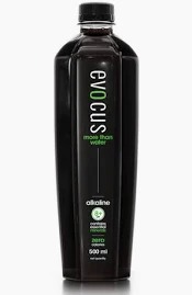 Drink Evoque Black Alkaline Drink Water 500Ml