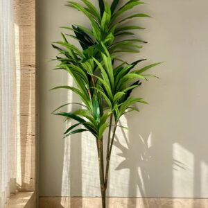 Mason Home Artificial Botanic Dracaena Plant 5Point5 Feet
