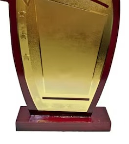 Wooden Shield Trophy Golden Colour Pack Of 2
