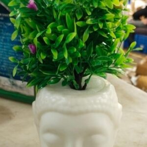 Petals White Buddha Pot Plastic White Flower Pot Plant Pots With Flower