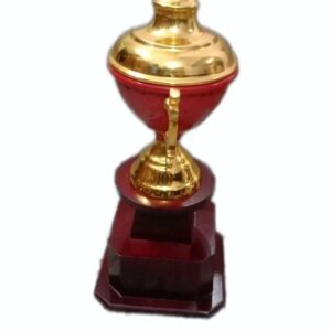 Private Lable Aluminium Sports Cups Trophy