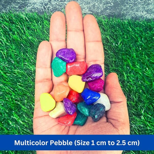 Private Lable AVER VERA 1 5KG Decorative Medium to Large Size Polished Marble Stone Pebbles for Plant Pots Vase Fillers Aquarium Home Decor Garden Decoration Courtyard Garden