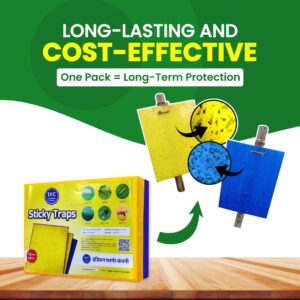 IFC Yellow Blue Sticky Traps 10 Yellow 10 Blue Chemical Free Fly Traps