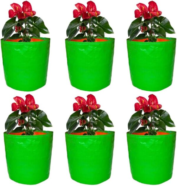 Private Lable GroWonder Plant Grow Bags for Plants 9X9 inches Pack of 6