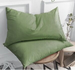 Green Color Pillow