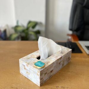 Valerie Suzanne Handcrafted Mother Of Pearl Agate Tissue Box Green Beige
