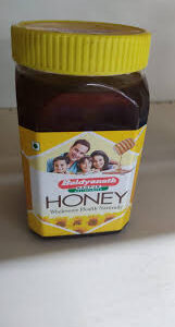 Baidyanath Jhansi Honey 250 Gm