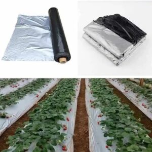 Siddhi Mulch Film Zigzag Holes Mulching Sheet1 Meter Width X 400 Meters Length