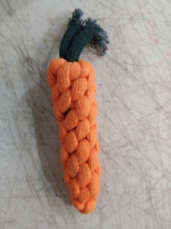 Pet Chewing Orange Color Rope