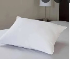 White Color Single Pillow