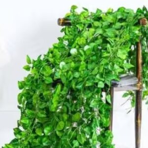 Private Label Artificial leaf