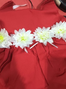 Private Label Girls Red Colour Frock 20 Size