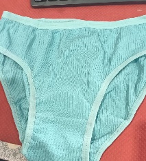 Private Label Womens Panty M Size Sky Colour