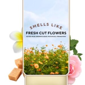 Blur India Solid Perfume MANGO BUTTER BASED 10GM